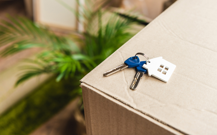House keys